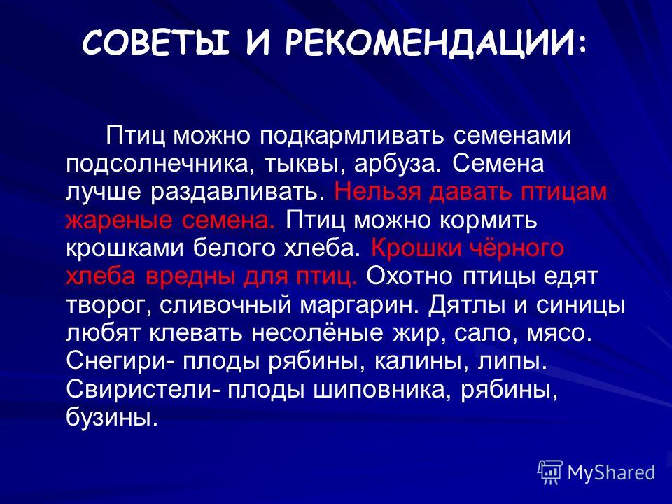 Оригами птицы снегири и синицы 4