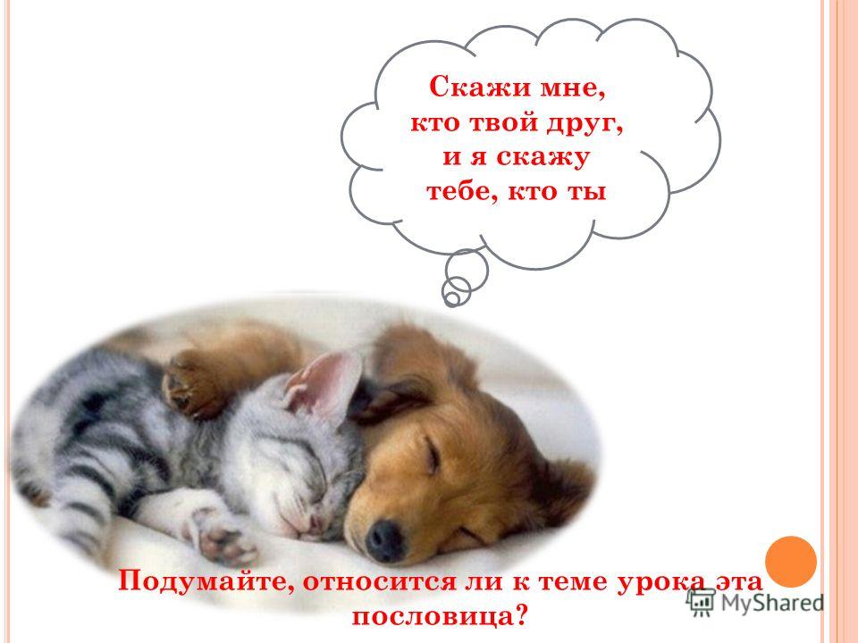 Подумайте относится ли к теме параграфа пословица скажи Подумайте относится ли к теме параграфа пословица скажи