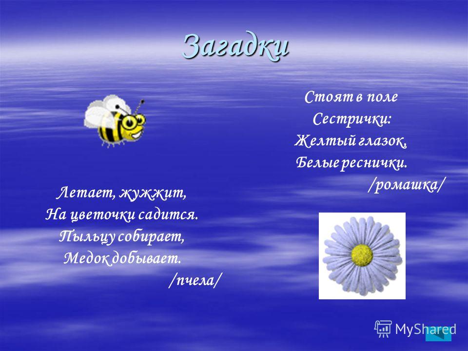 Стоят в поле сестрички, желтый глазок, белые реснички. Ответ! Стоят в поле сестрички, желтый глазок, белые реснички. Ответ!