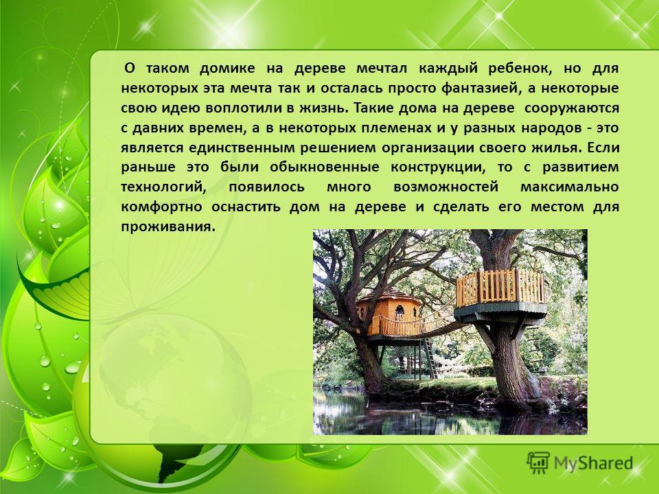 Как устроен MikeGrape Company — проект из Черемшанки, который строит дома на деревьях