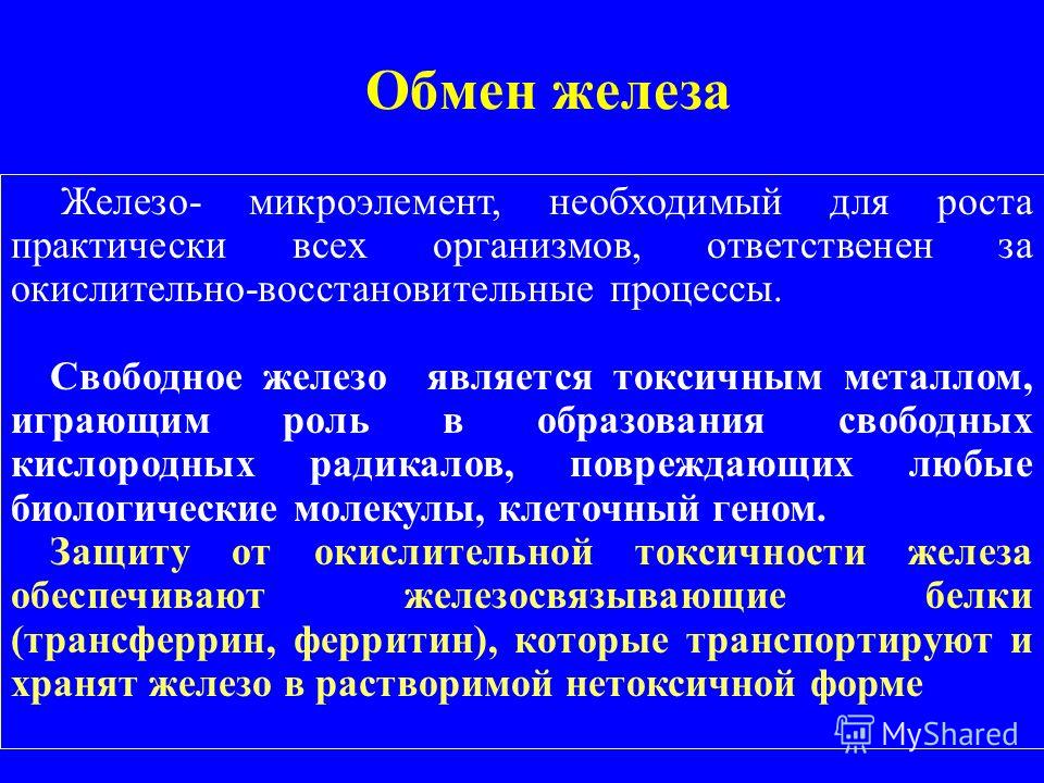 ЖАННА ЖАННА