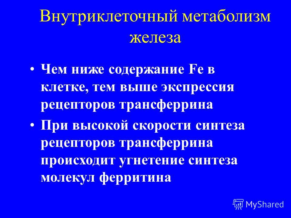 Алкоголизм лечение гипнозом санкт-петербург