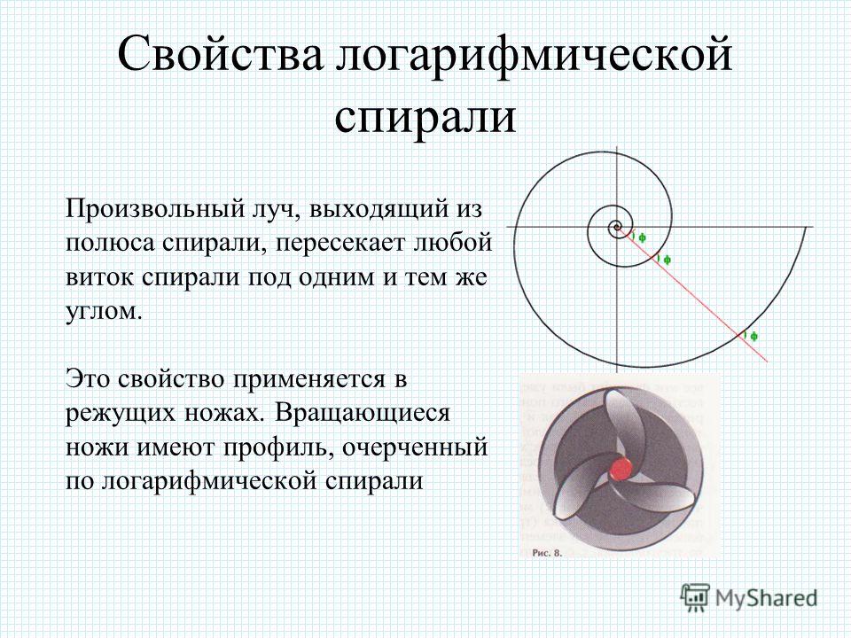 Какие свойства и графики имеет логарифмическая функция