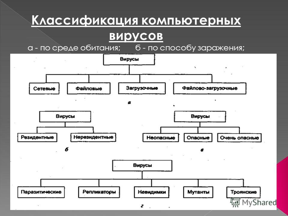 Что является основным свойством компьютерного вируса? NOCFN