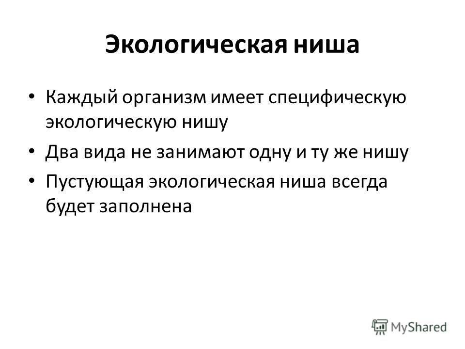 Пример правила заполнения экологической ниши Плодородие Кактуса Экологическая Ниша - 77 фото
