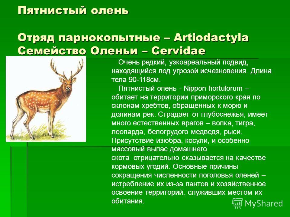 [PUNIQRANDLINE-(au-dating-names.txt) 35 Доклад животные белгородской области 6529