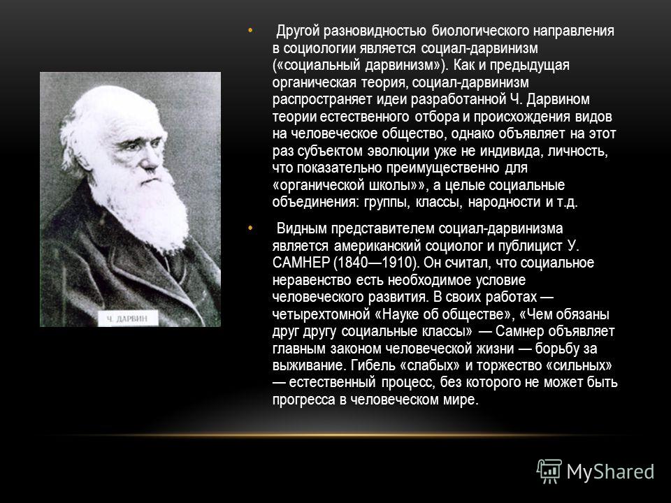 Что изучает социальный отношения Что изучает социальный отношения