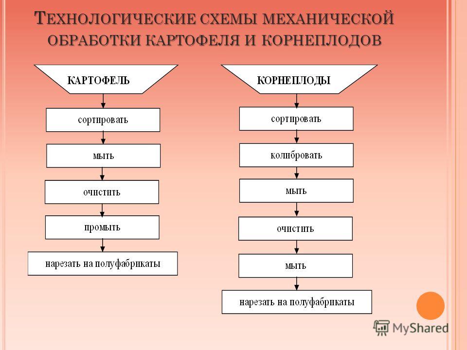 Технологическая схема обработки овощей при первичном приеме