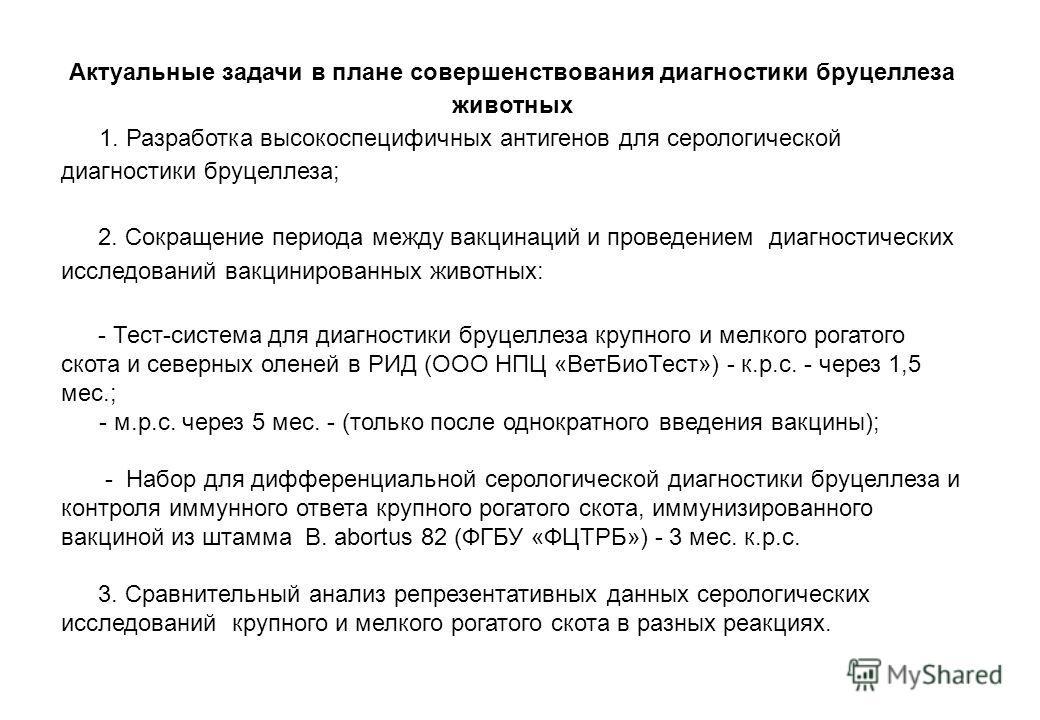 Дипломная работа по теме Бруцеллез крупного рогатого скота Дипломная работа по теме Бруцеллез крупного рогатого скота