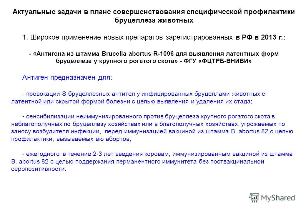 Дипломная работа по теме Бруцеллез крупного рогатого скота Дипломная работа по теме Бруцеллез крупного рогатого скота