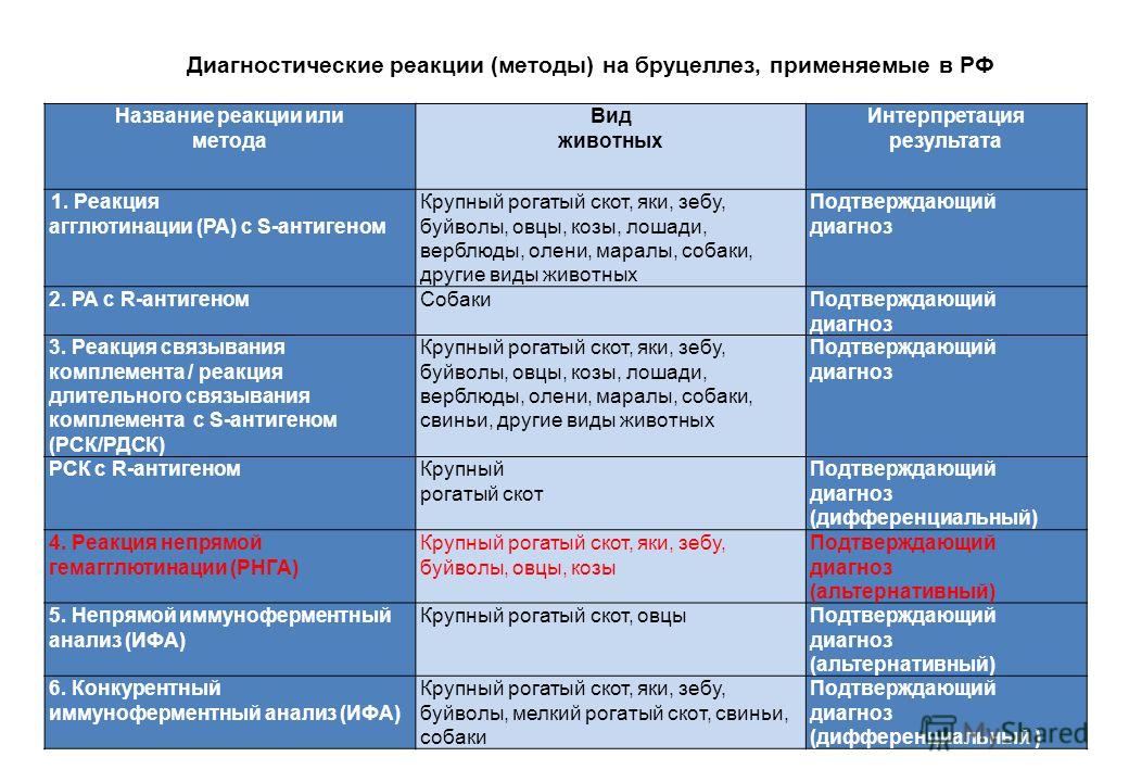 Дипломная работа по теме Бруцеллез крупного рогатого скота Дипломная работа по теме Бруцеллез крупного рогатого скота