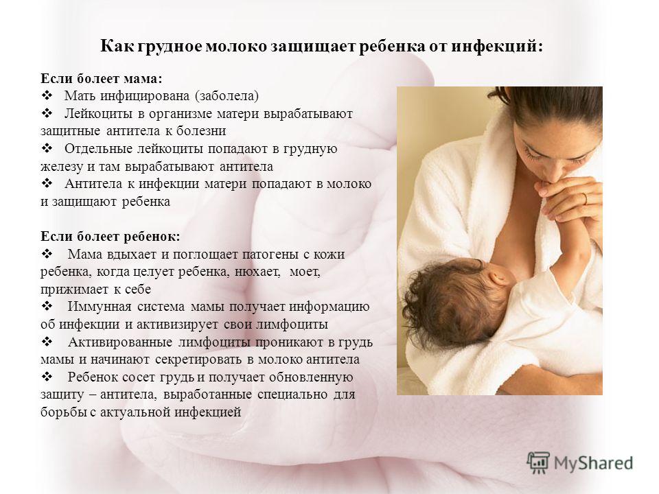 торговое через какое время молоко приходит после кормления квартир Красное