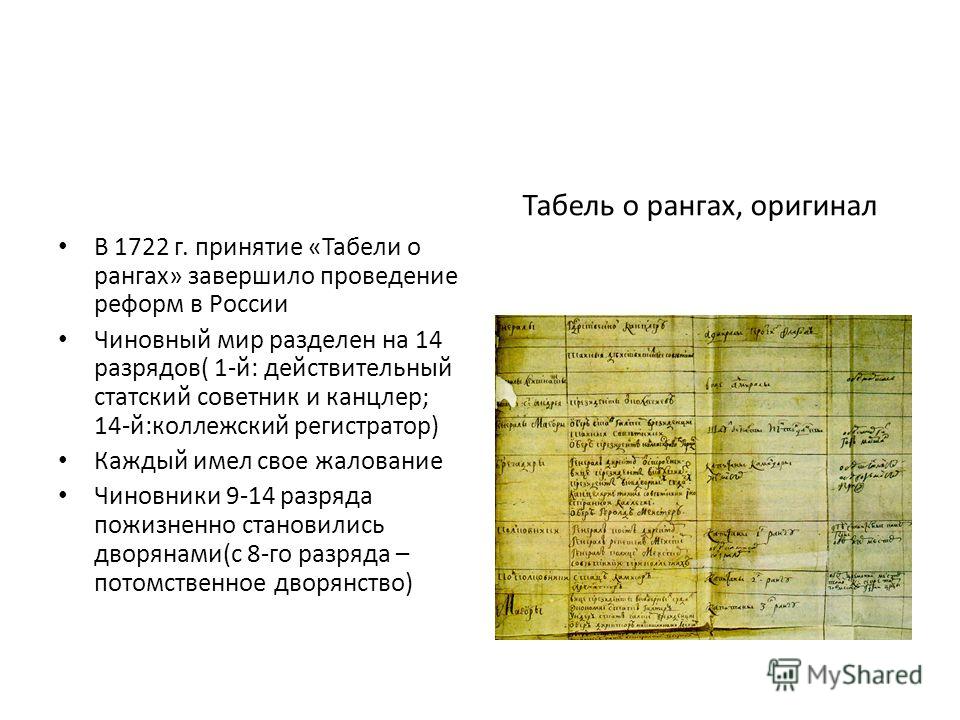 Как снимать мерки Как связать шапочку для собаки - Одежда для собак