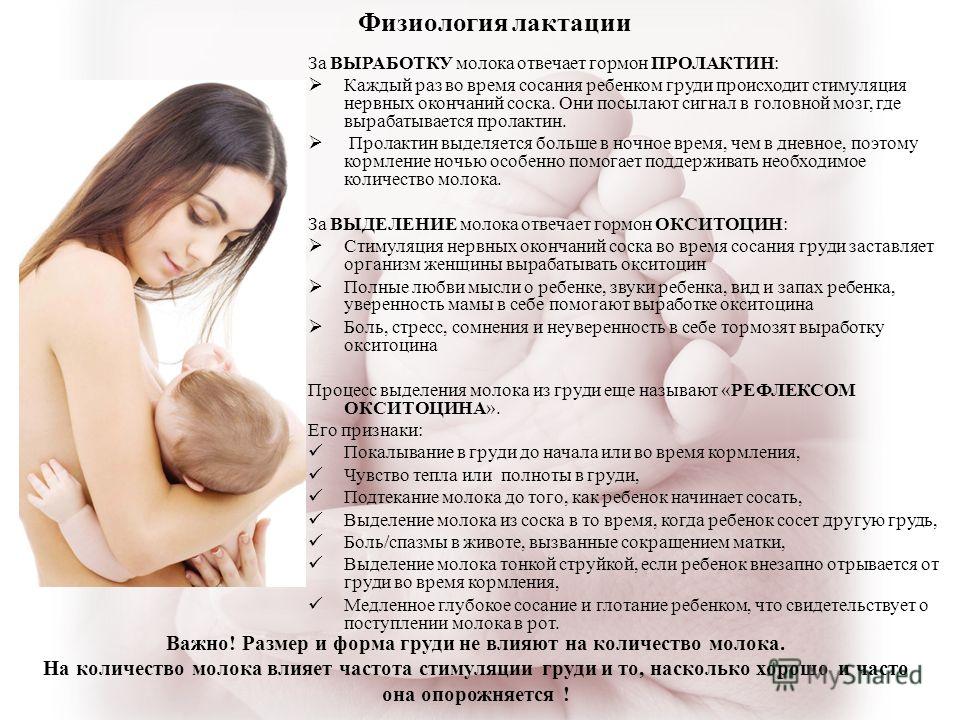 Как сделать чтобы молоко появилось у кормящей матери Как сделать чтобы молоко появилось у кормящей матери