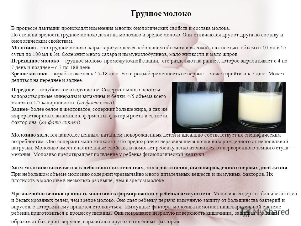 Грудное молоко как сделать его жирным 56 Грудное молоко как сделать его жирным 26