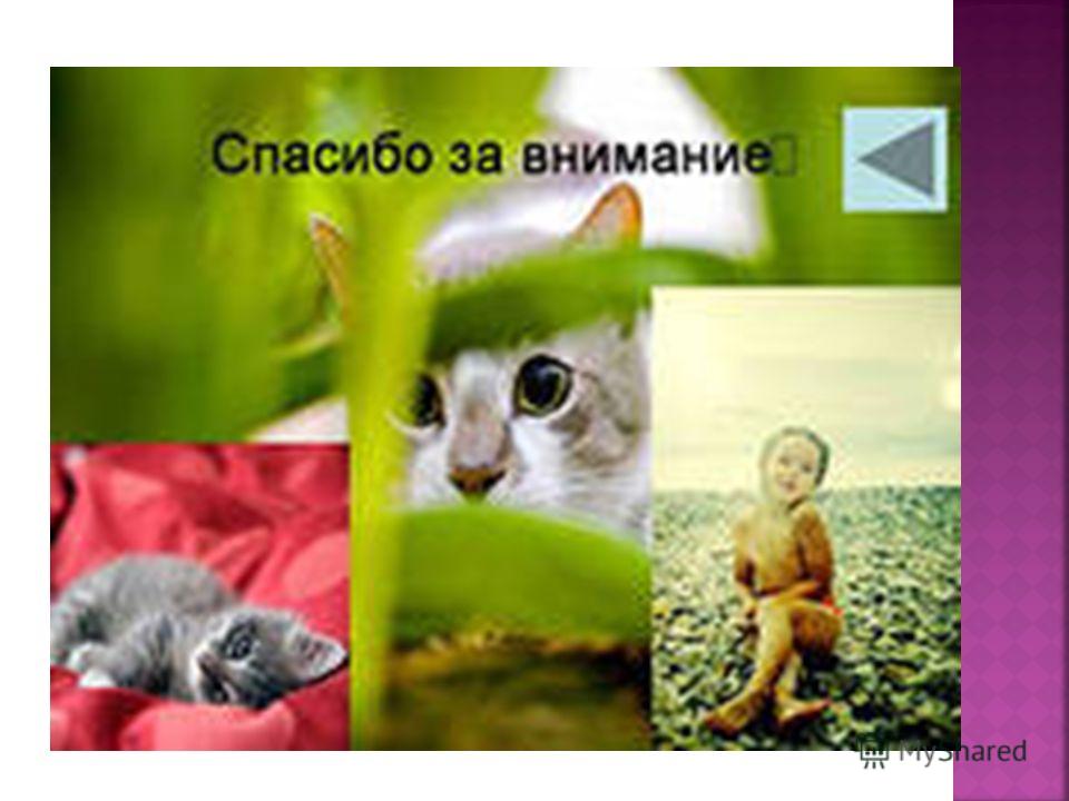 Диф диагностика ревматоидный артрит Диф диагностика ревматоидный артрит