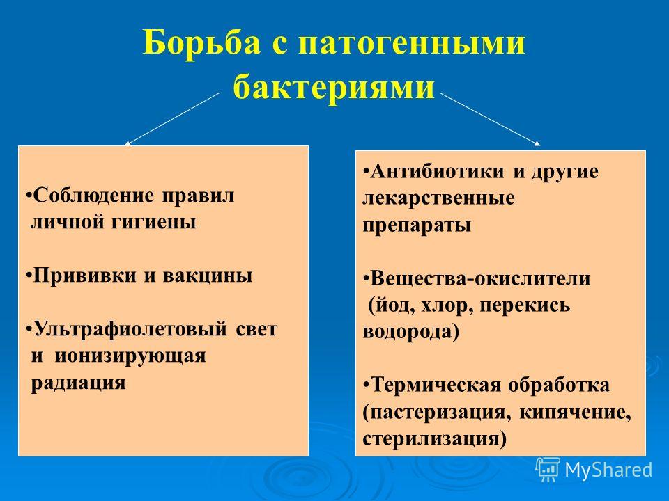 черви во рту человека черви во рту человека