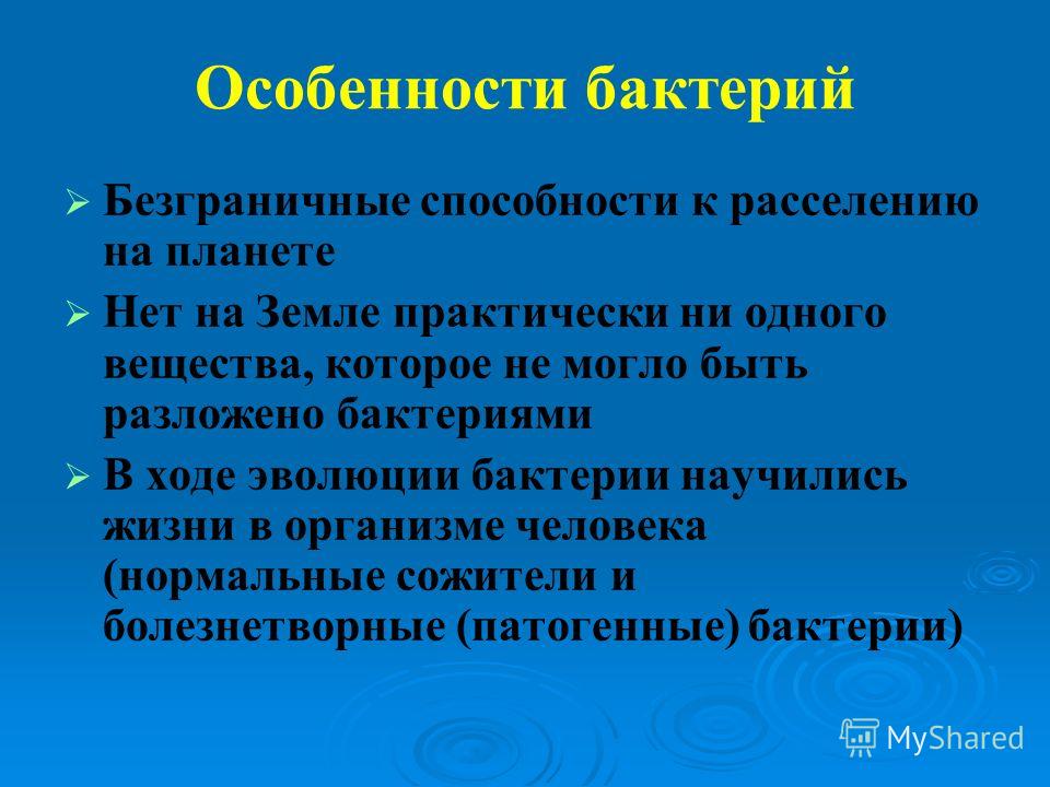 Пословицы с бактериями Пословицы с бактериями