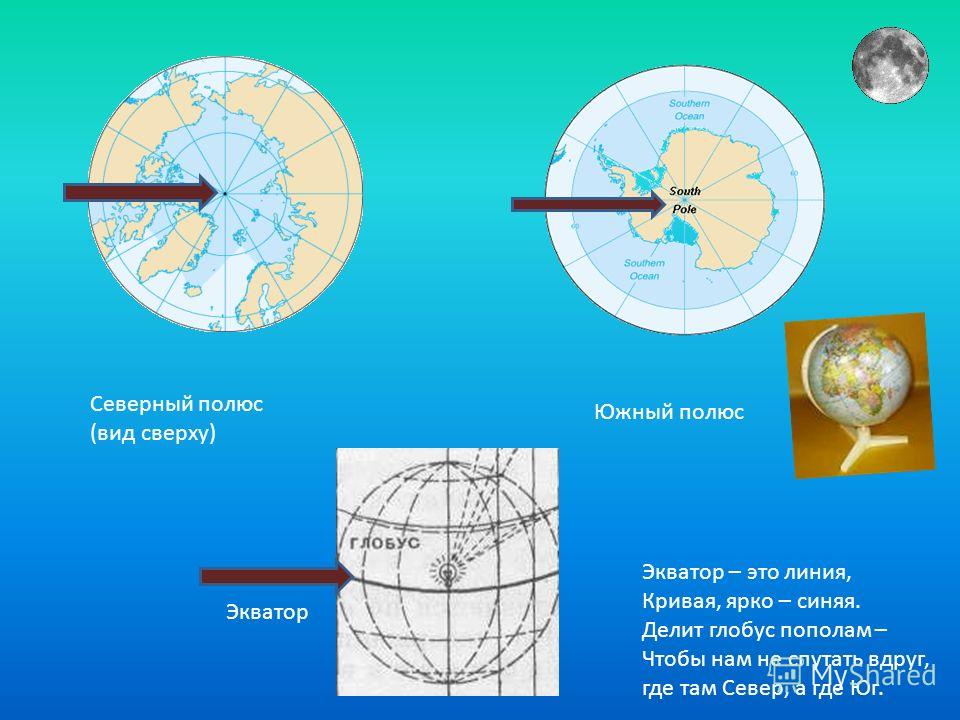 Северный полюс (вид сверху) Южный полюс Экватор Экватор – это линия, Кривая, ярко – синяя. Делит глобус пополам – Чтобы нам не спутать вдруг, где там Север, а где Юг.
