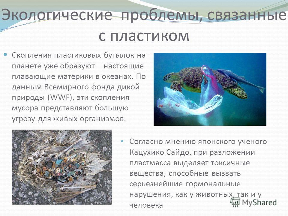 Обзор экологических проблем, связанных с развитием туризма и Глобальные экологические проблемы современности и их