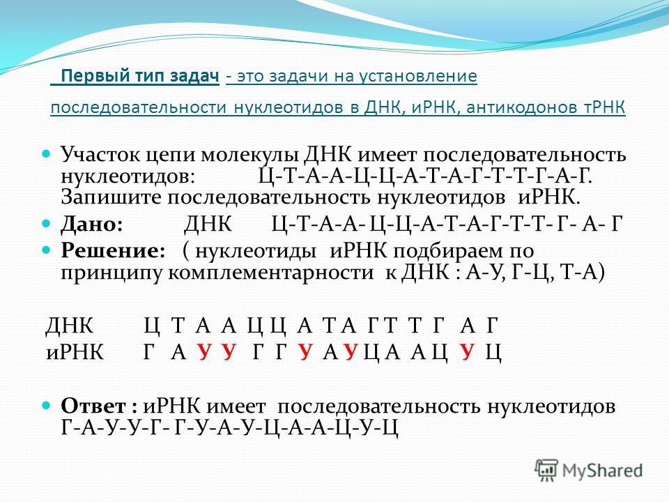 Задачи На Днк И Рнк - 76 фото