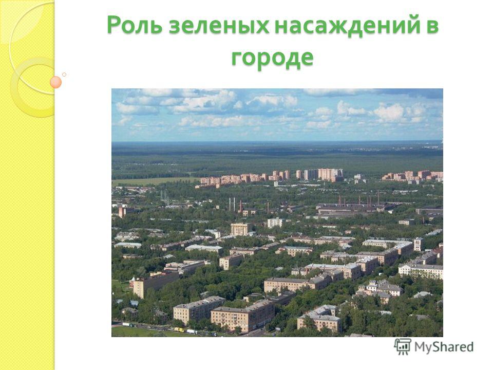 Курсовая работа по теме Роль зеленых насаждений в городе