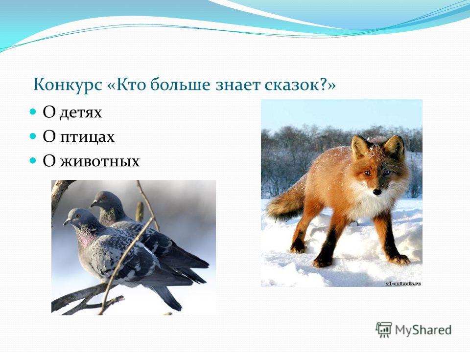 Презентация костюмов на конкурс Презентация костюмов на конкурс