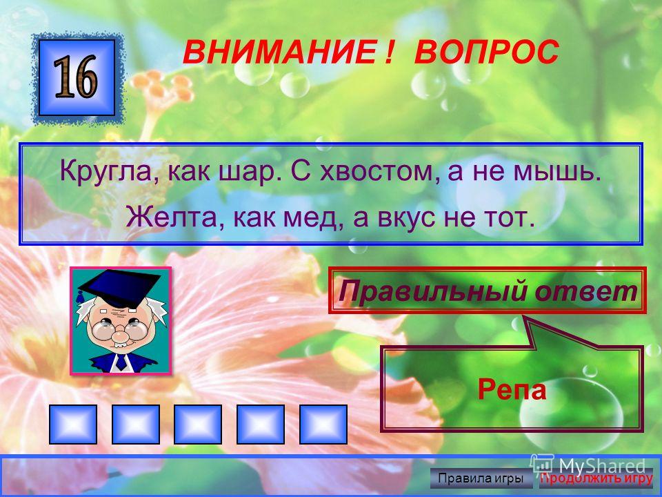 к какому семейству относится толстолобик к какому семейству относится толстолобик