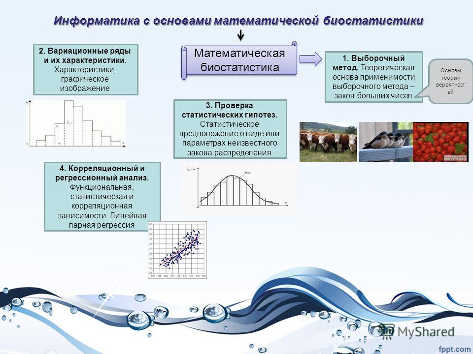 Как ввести рисовую кашу после гречневой Как ввести рисовую кашу после гречневой