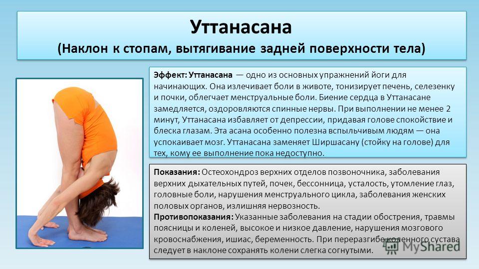 Позы из йоги для поясницы Позы из йоги для поясницы
