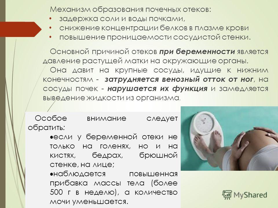 Диета беременной при белке в моче 26