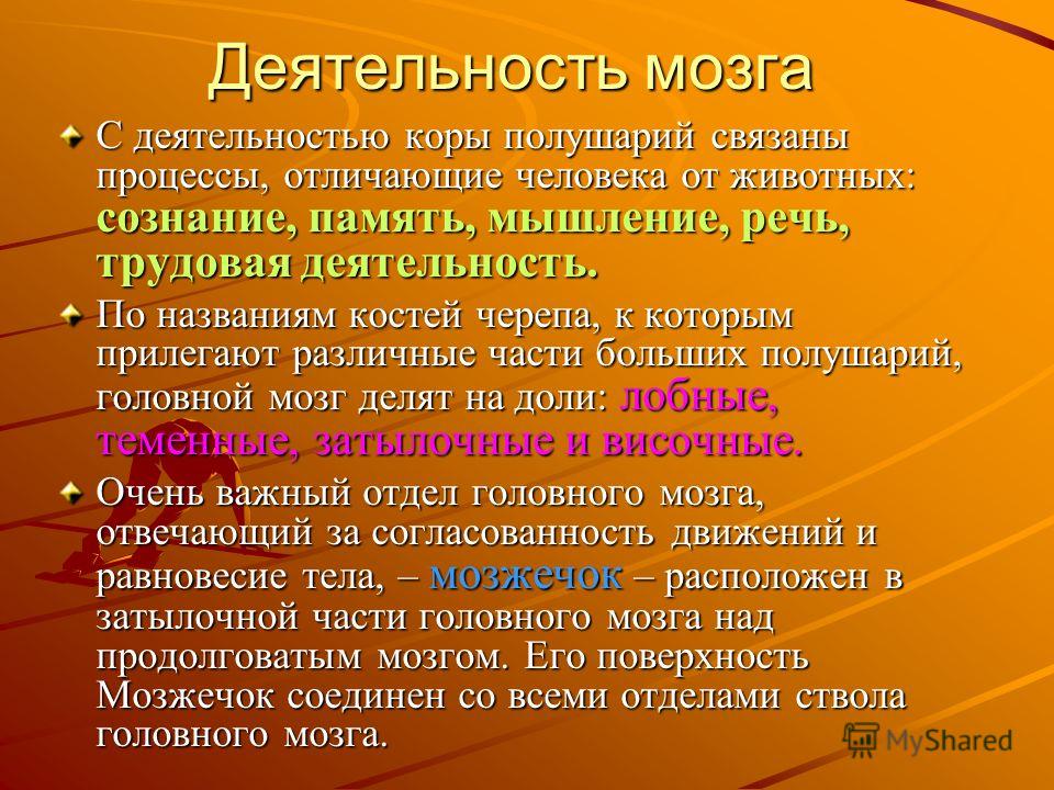 Связаны память мыслительная и речевая деятельность Связаны память мыслительная и речевая деятельность