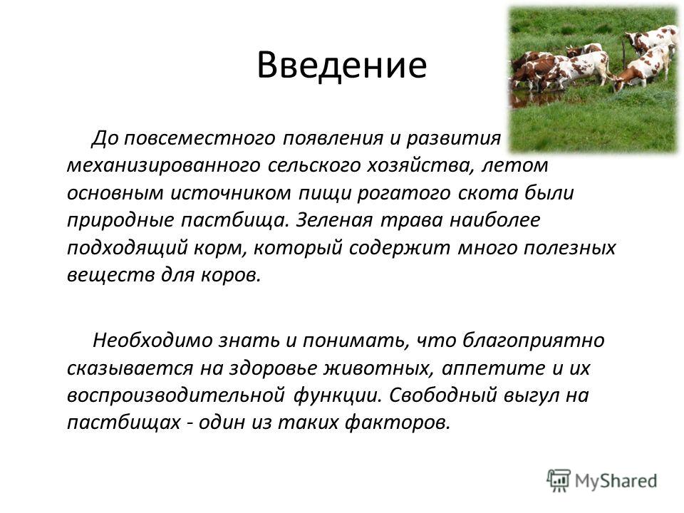 Реферат: Основы пастбищного кормления и содержания крупного рогатого скота