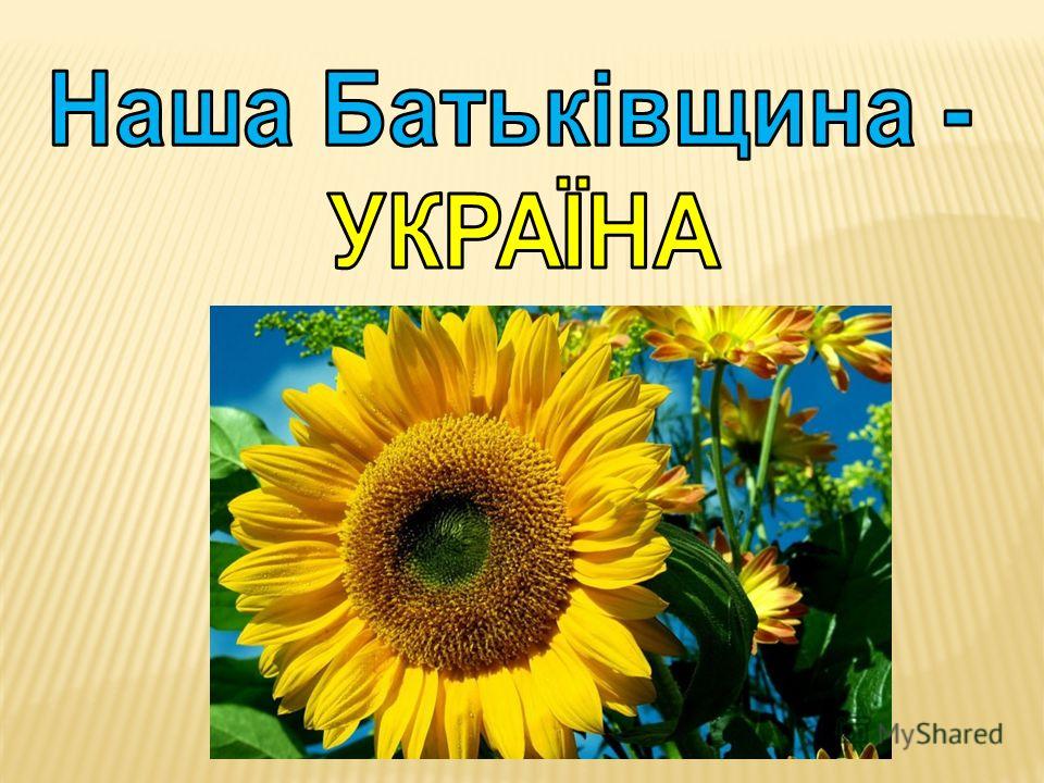 Медицинский ассистанс : Презентация / Оферта :: Coris Украина Презентації про україну скачать