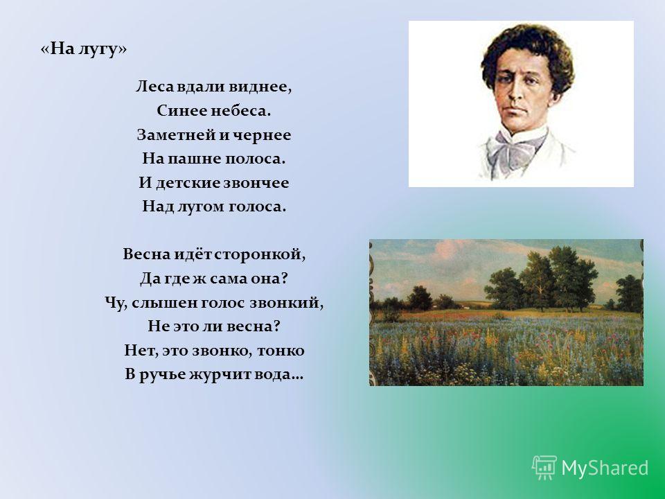 А с пушкин о луге стих А с пушкин о луге стих
