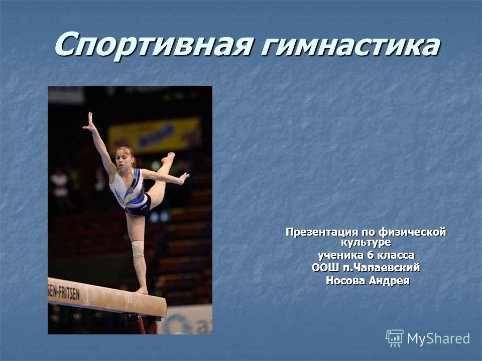 Спортивная Гимнастика В Школьной Программе Реферат Спортивная Гимнастика В Школьной Программе Реферат