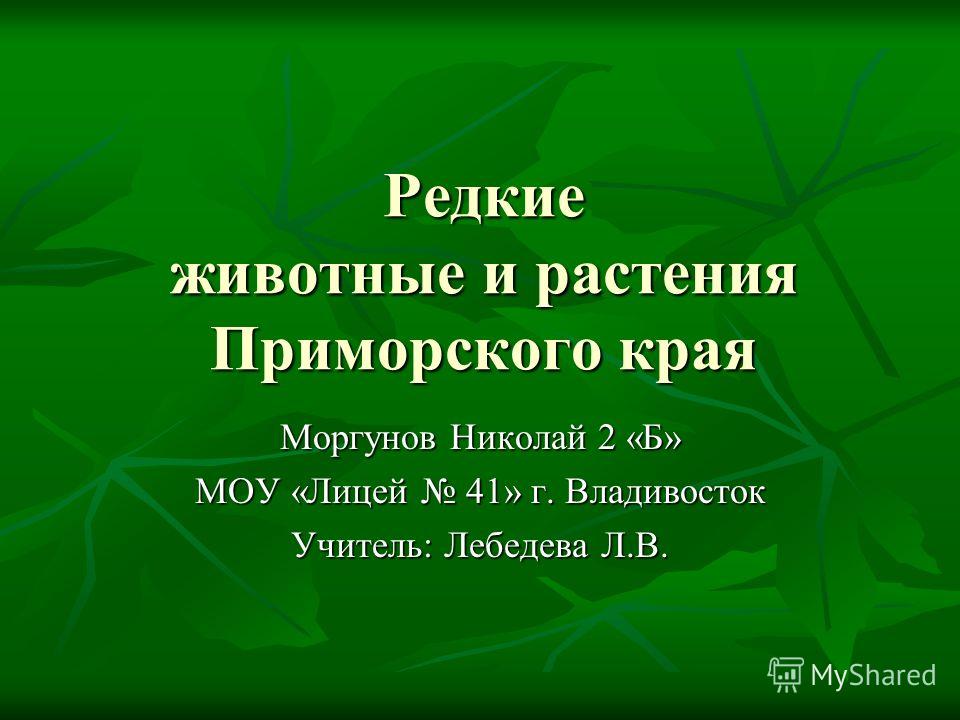 Травы Приморского Края Фото И Названия Травы Приморского Края Фото И Названия