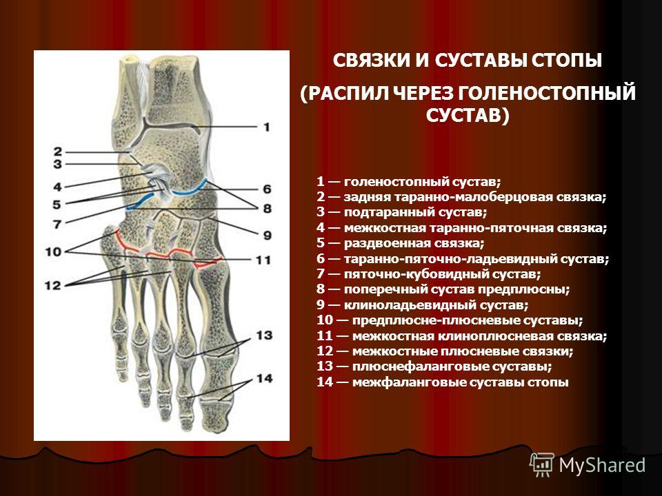 Как болит сорванная поясница Как болит сорванная поясница