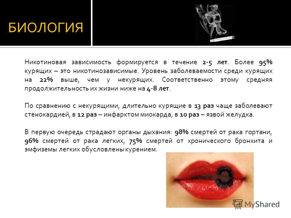 чем отбить запах табака изо рта чем отбить запах табака изо рта