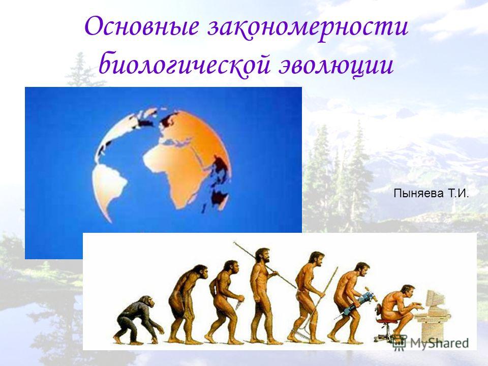 Результаты Эволюции И Ее Основные Закономерности Презентация 10 Класс