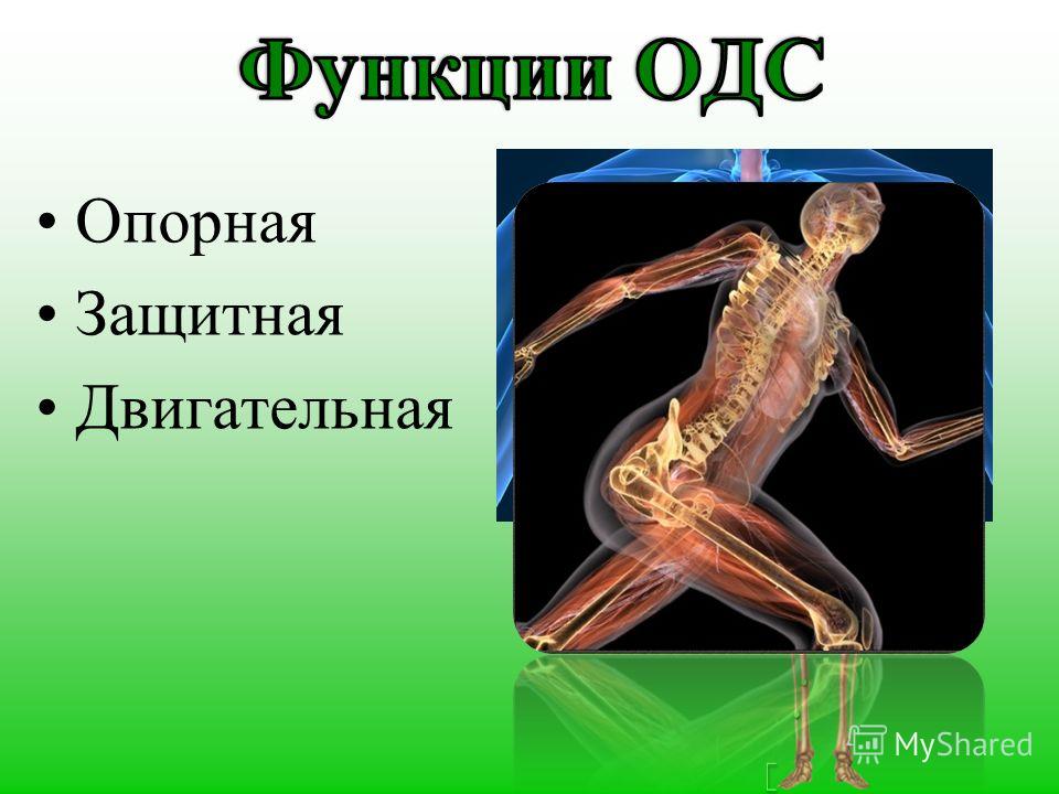 Опорно Суквир Опорно Суквир
