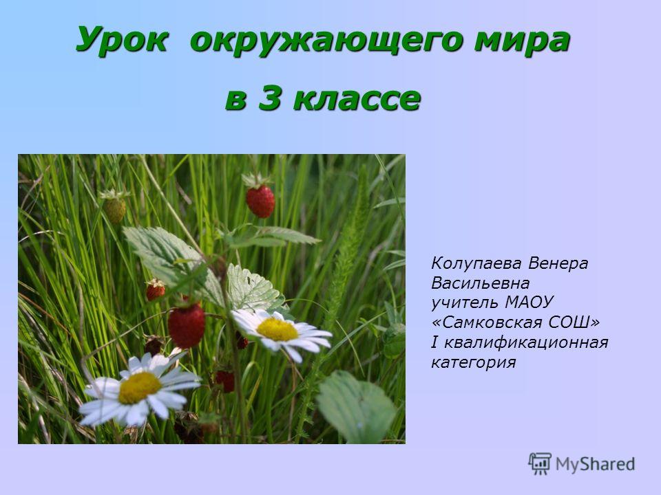 Почему их так назвали презентация