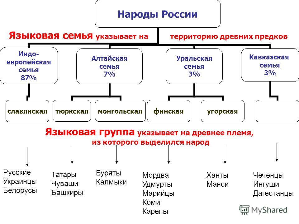 Народы России Индо- европейская семья 87% славянская Алтайская семья 7% тюркскаямонгольская Уральская семья 3% финскаяугорская Кавказская семья 3% Языковая семья указывает на территорию древних предков Языковая группа указывает на древнее племя, из к