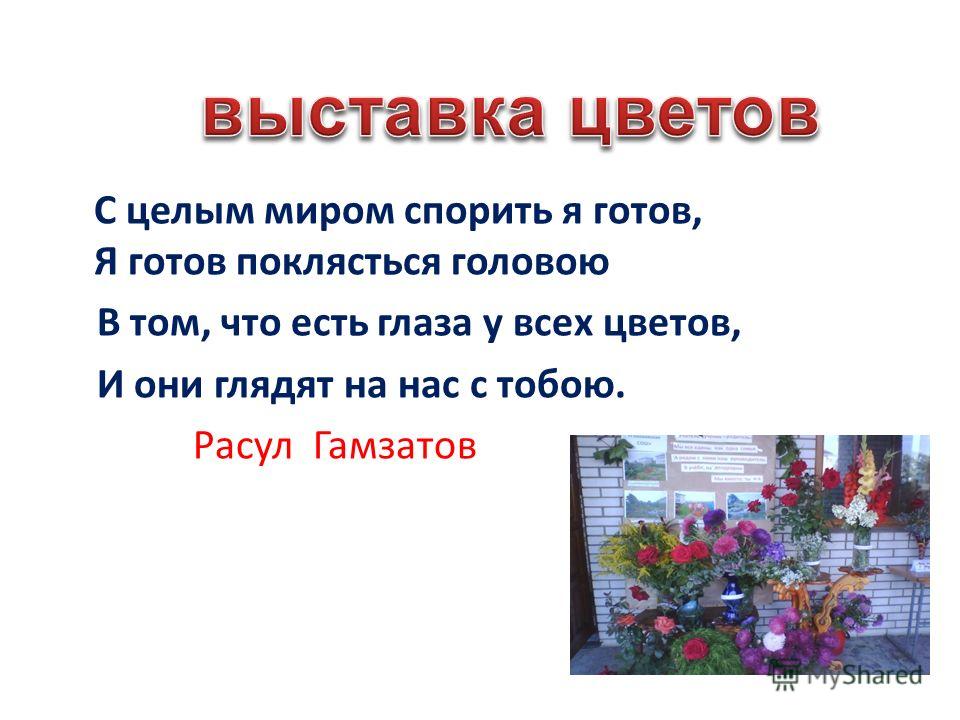 Это пословица где цветок там и медок Это пословица где цветок там и медок