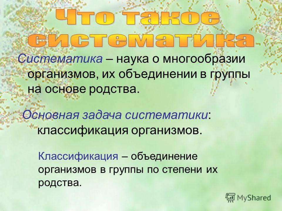 Группа организмов связанная родством Группа организмов связанная родством