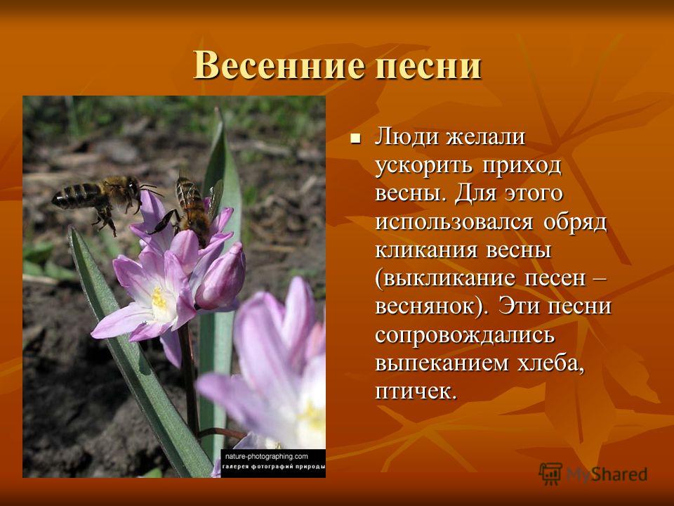 Обряд троица песни Обряд троица песни