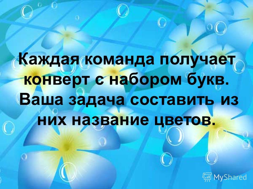 Названия команд связанные с цветом 202