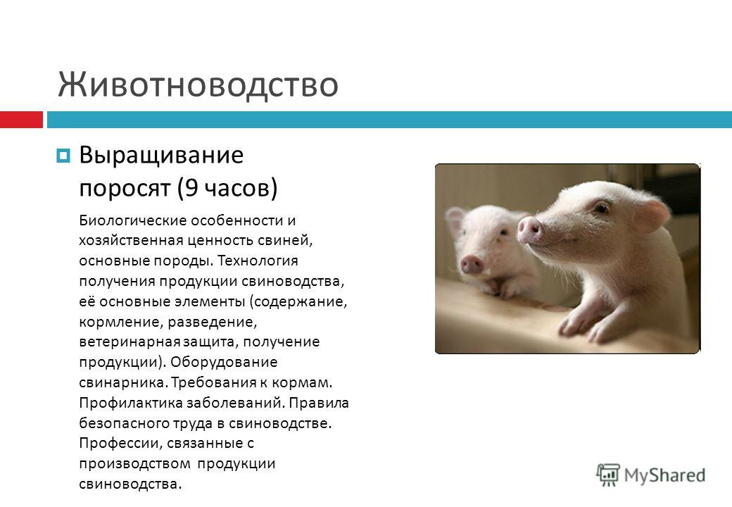 Профессии связанные с выращиванием Профессии связанные с выращиванием
