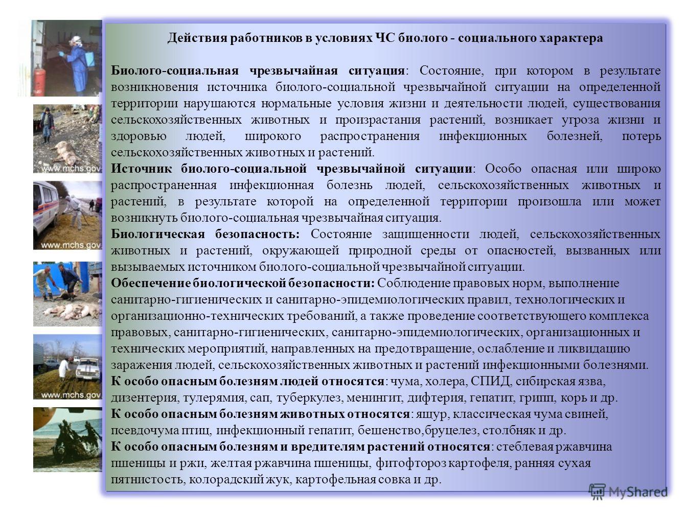 Квартирный декор своими руками Квартирный декор своими руками