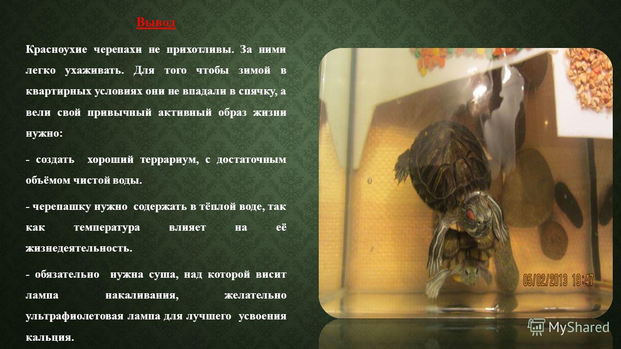 Чем быстро смыть темный цвет волос Чем быстро смыть темный цвет волос